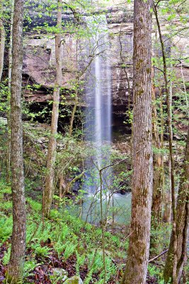 Sweden Creek Waterfall