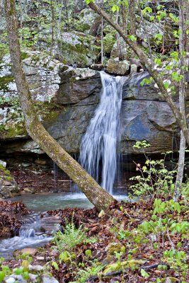 Sweden Creek Side Drainage