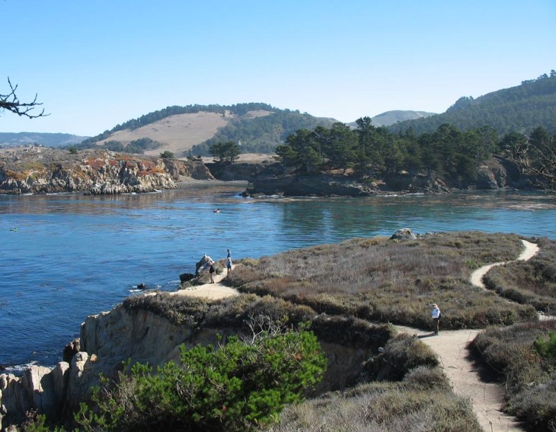 View while hiking on Monterey Peninsula