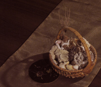 TEXTURES: Basket of shells on silk runner