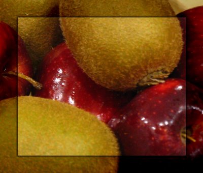 SKIN OR FUR: Apples or Kiwis