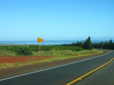 g3/29/786229/3/113180821.HaliHG7V.jpg