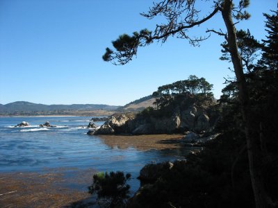 View while hiking on Monterey Peninsula