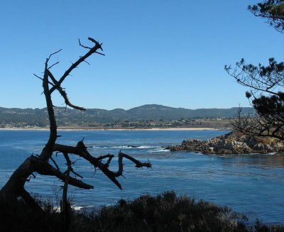 View while hiking on Monterey Peninsula