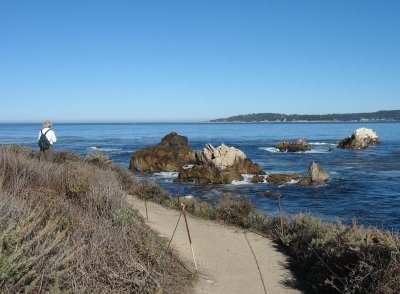 View while hiking on Monterey Peninsula