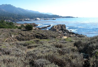 View while hiking on Monterey Peninsula