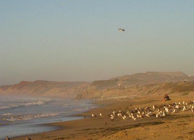 Before sunset at Monterey