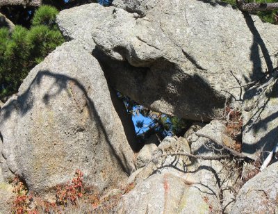 View while hiking on Monterey Peninsula