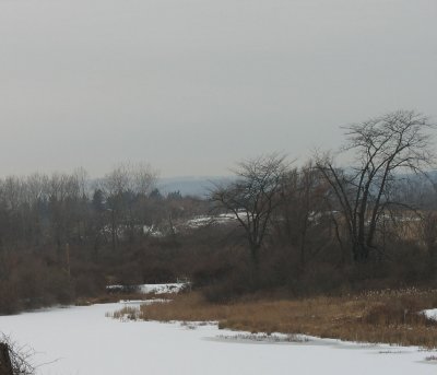 Winter: Pond in Upstate New York