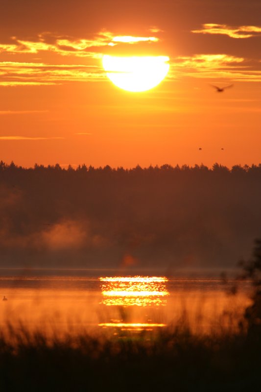 Sunrise