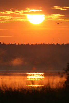 Sunrise