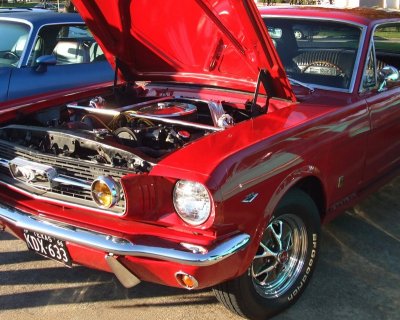 Little Red Mustang