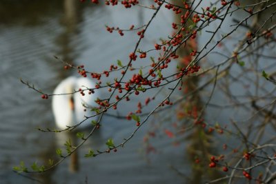 Foreground ~ Background