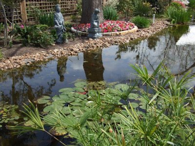 Koi Pond