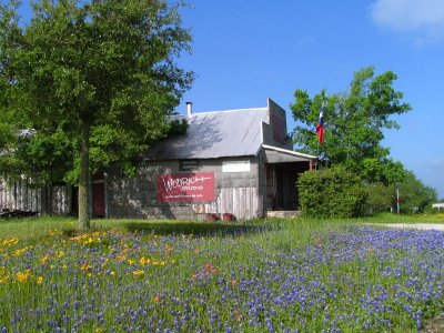 Independence Bluebonnets