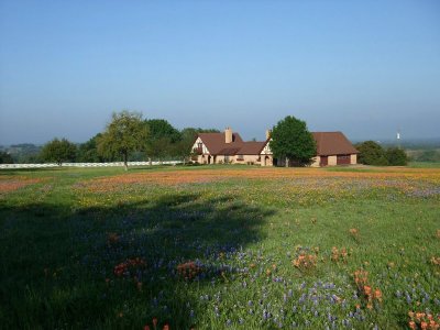 Wildflowers for His Lawn