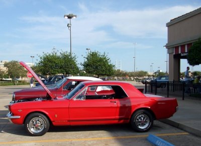 Little Red Mustang
