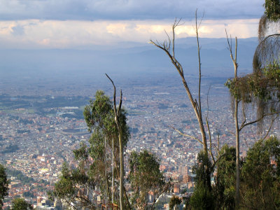 Bogota