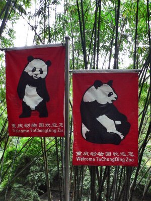 ChongQing Zoo