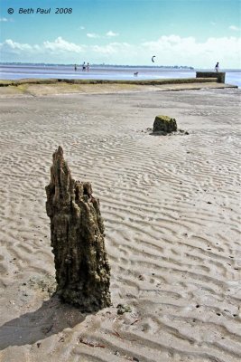 Sandgate Beach