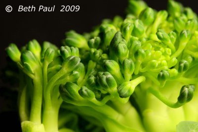 Macro - Broccoli