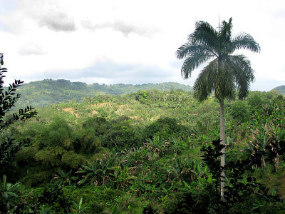 View from the Parador Hacienda Juanita