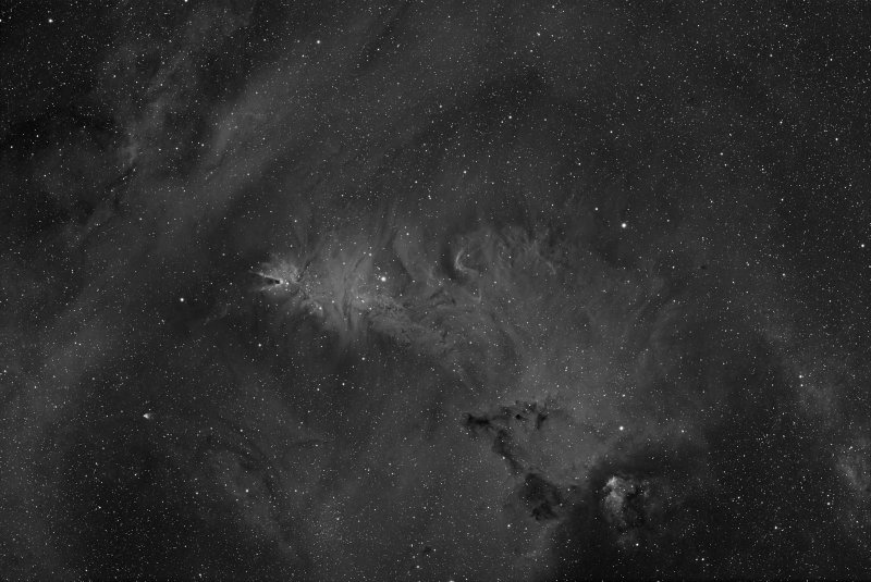 Cone and Fox Fur Nebula in Ha