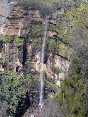 Falls in Blue Mountains