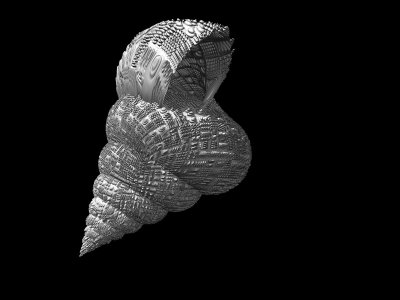 Second snail
