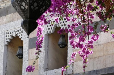 Palais Azem