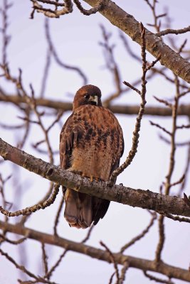 IMG_2058 ew.jpg