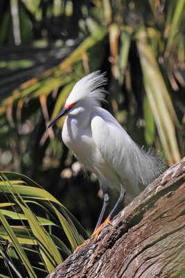 IMG_3485 ewc.jpg