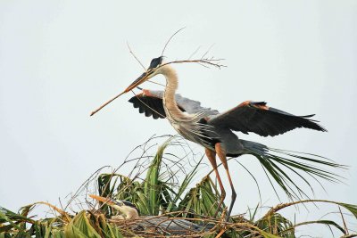 IMG_1331 ew.jpg