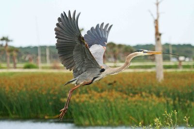 IMG_1340 ew.jpg