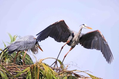IMG_4066_ew.jpg
