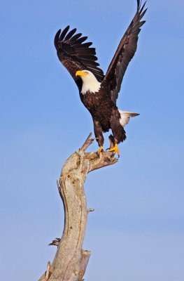 IMG_4243 ew.jpg