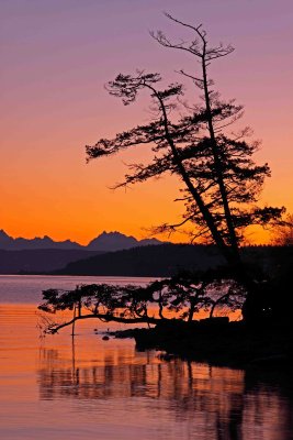 IMG_1783 e w.jpg