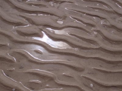 Ripples