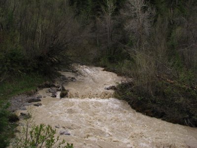 Cedar Creek Flooding