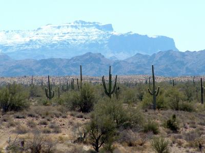 Snow on the Superstitions