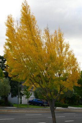 IMG_7534.jpg