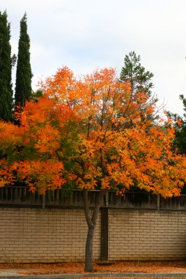 IMG_7562.jpg