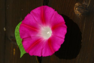 IMG_7576.jpg