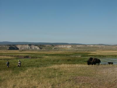 People running away from the on-coming bison