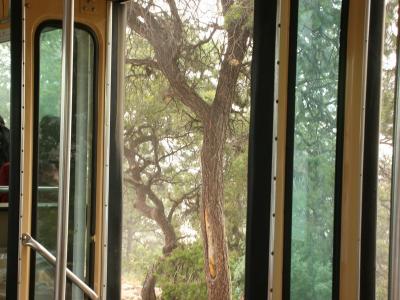 Looking at the canyon from inside the bus