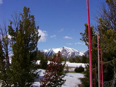 Snow Poles on right