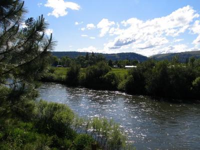 Local river near the trailer park