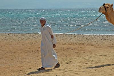 g3/30/262230/3/54464703.Sinai_140405_DSC_2026hr_psi.jpg