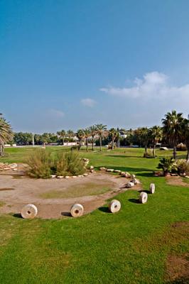 Herzelia city park, with ancient grindstones on display