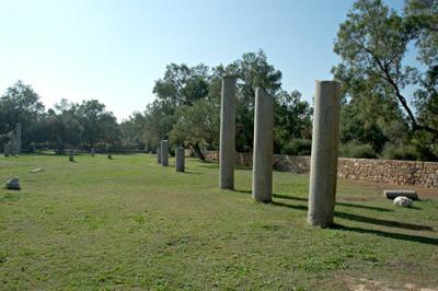 Remain of the Roman Basilica, Ashkelon National park, Israel